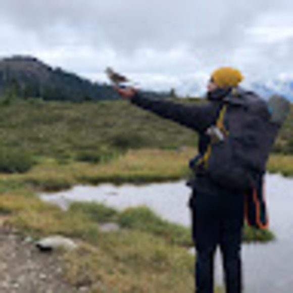 Meet your Posher, Enxiao - Picture 1 of 1